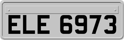 ELE6973