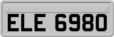 ELE6980