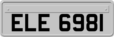 ELE6981