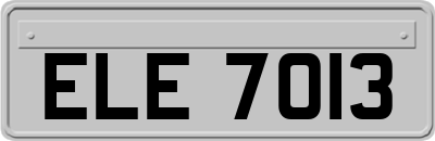 ELE7013