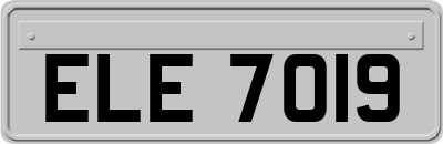 ELE7019