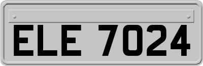ELE7024