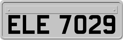 ELE7029