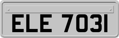 ELE7031