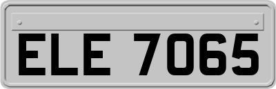 ELE7065
