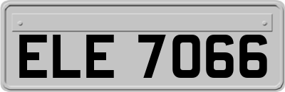ELE7066
