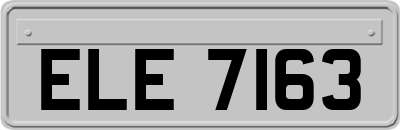 ELE7163