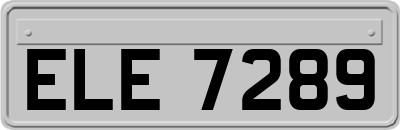ELE7289