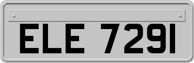 ELE7291