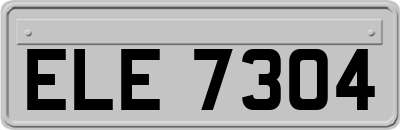 ELE7304