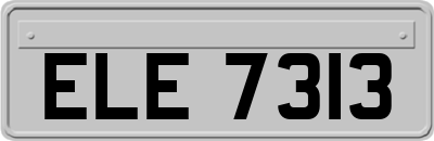 ELE7313