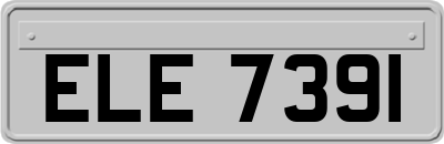 ELE7391