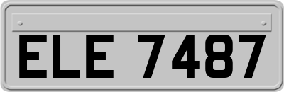 ELE7487