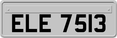 ELE7513