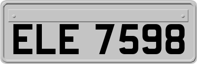 ELE7598