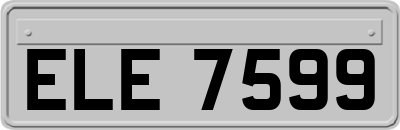 ELE7599