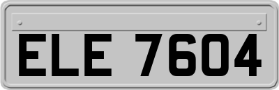 ELE7604