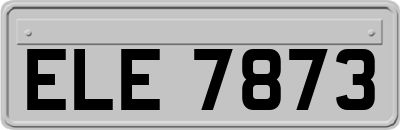 ELE7873