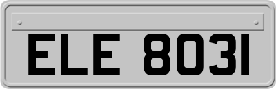 ELE8031