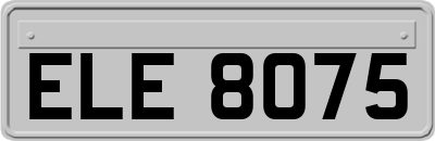 ELE8075