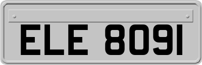 ELE8091