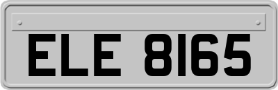 ELE8165
