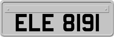 ELE8191