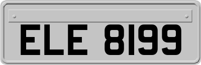 ELE8199