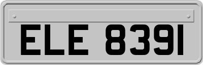 ELE8391