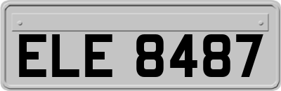ELE8487
