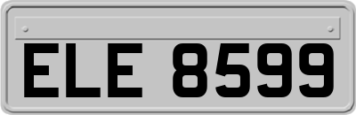 ELE8599