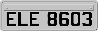 ELE8603
