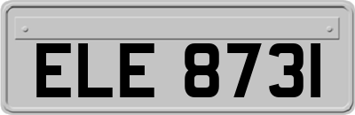 ELE8731