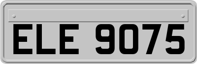 ELE9075