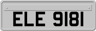 ELE9181