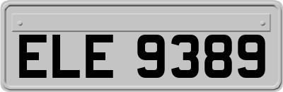 ELE9389