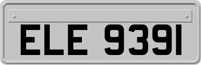 ELE9391