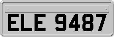 ELE9487
