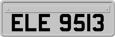 ELE9513