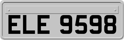 ELE9598