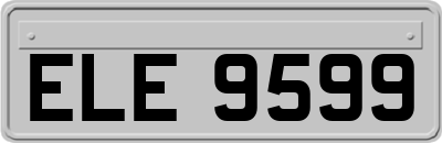ELE9599