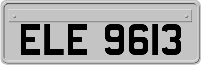ELE9613