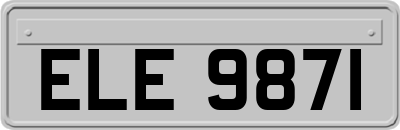 ELE9871
