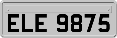 ELE9875