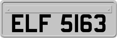 ELF5163