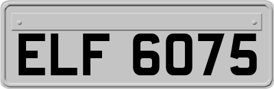 ELF6075