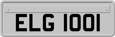 ELG1001