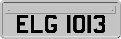 ELG1013