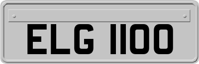 ELG1100