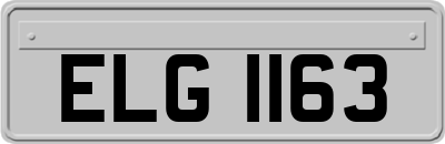 ELG1163